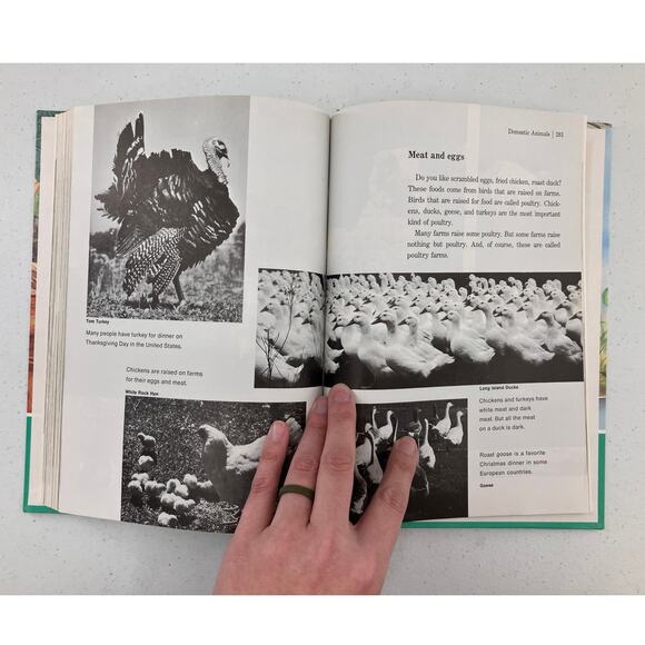 Vintage 1988 Childcraft How And Why Library About Animals Childrens Encyclopedia - Picture 12 of 13